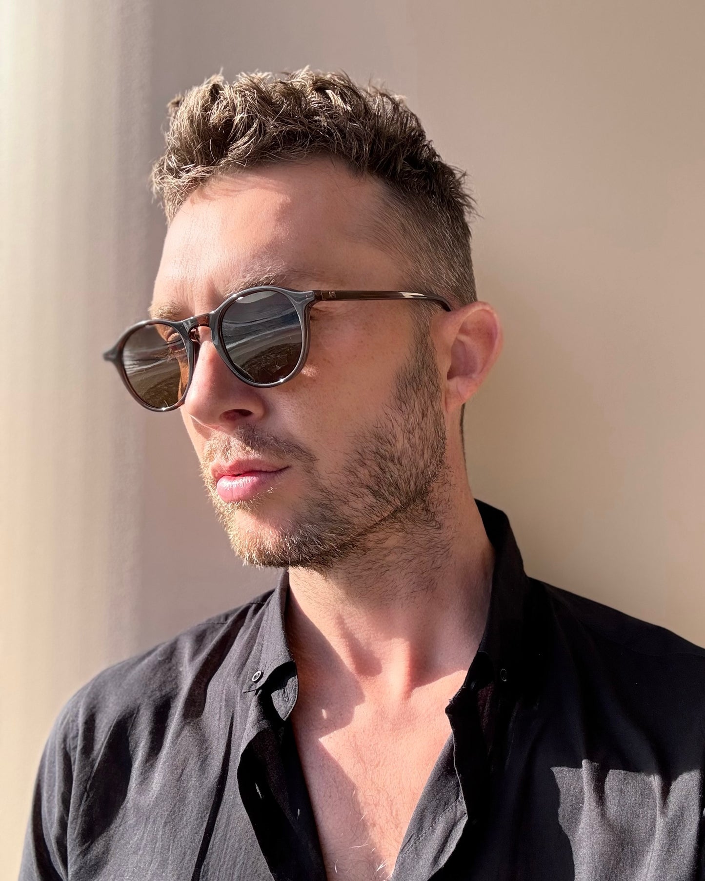 PA Panto Sunglasses